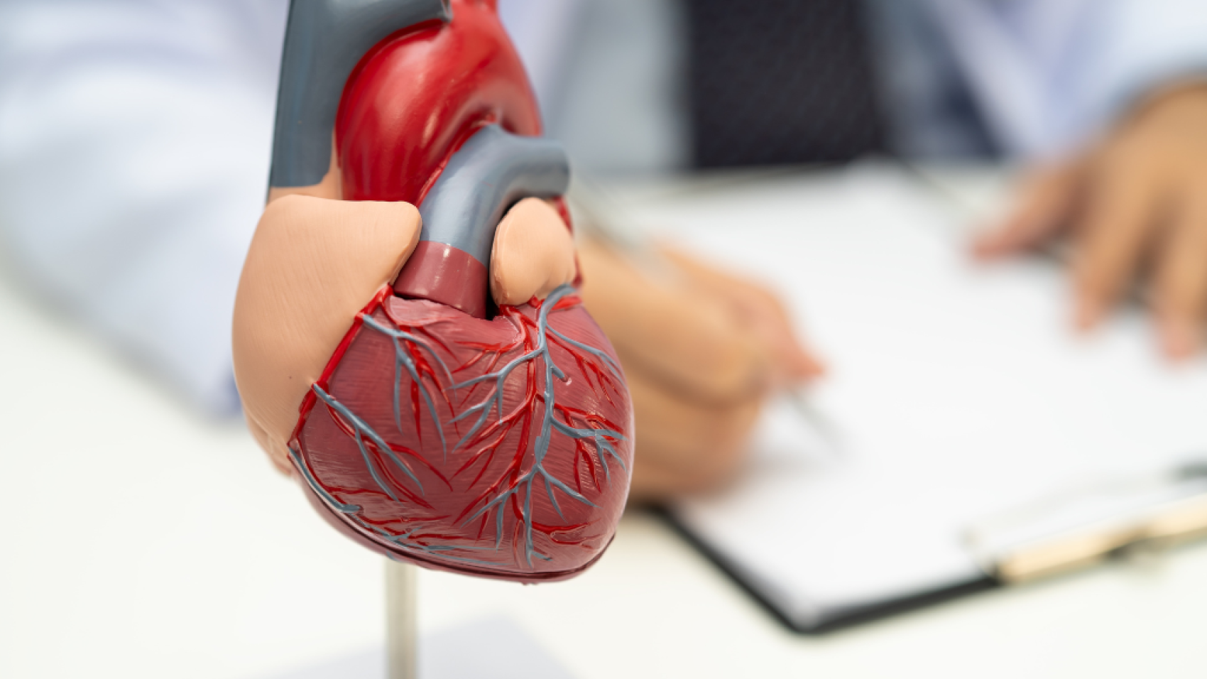 Diseño sin título-12