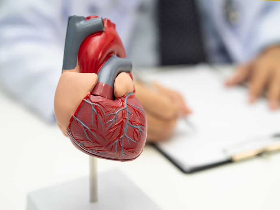 Diseño sin título-12