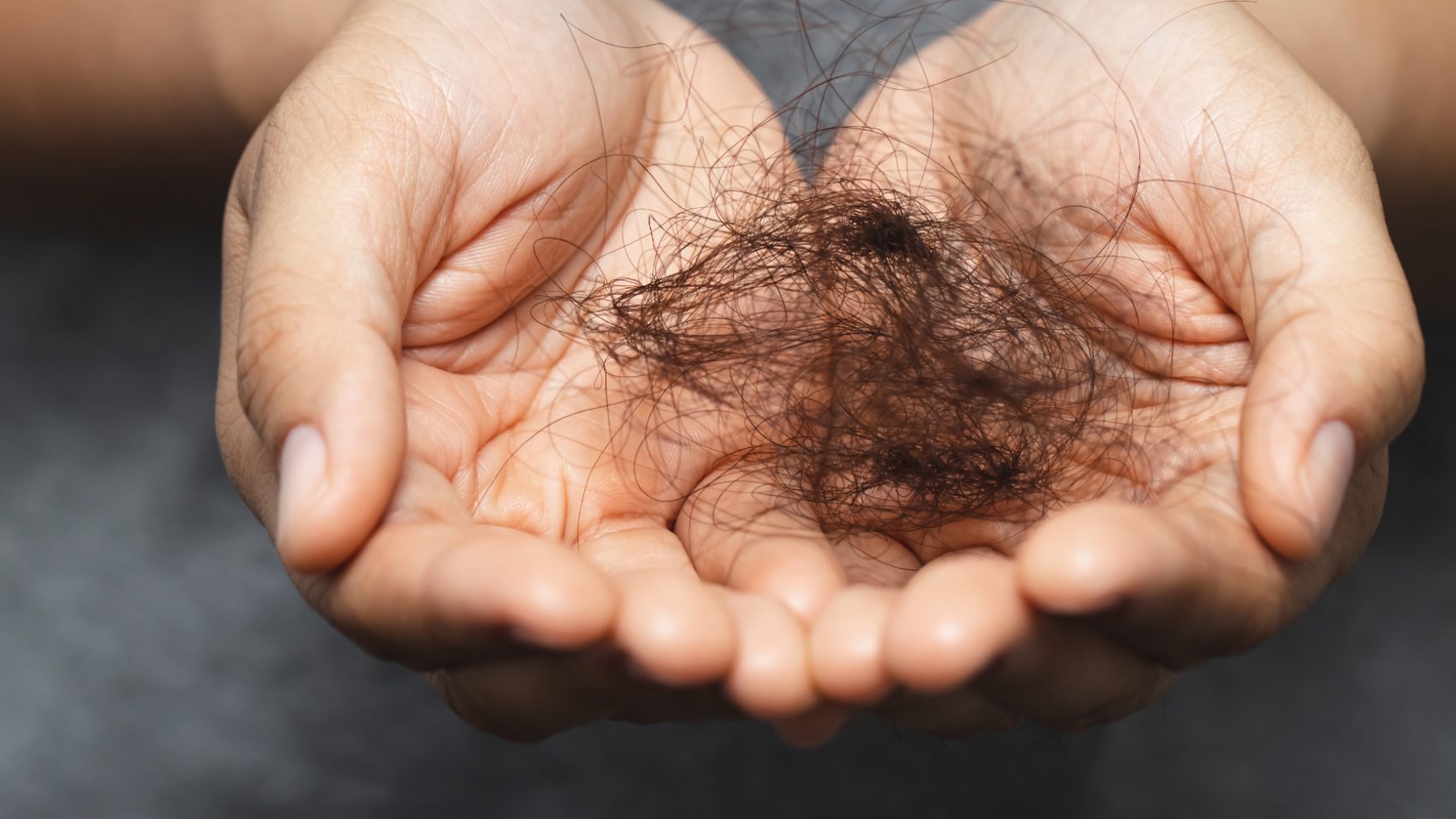 Diseño sin título-8